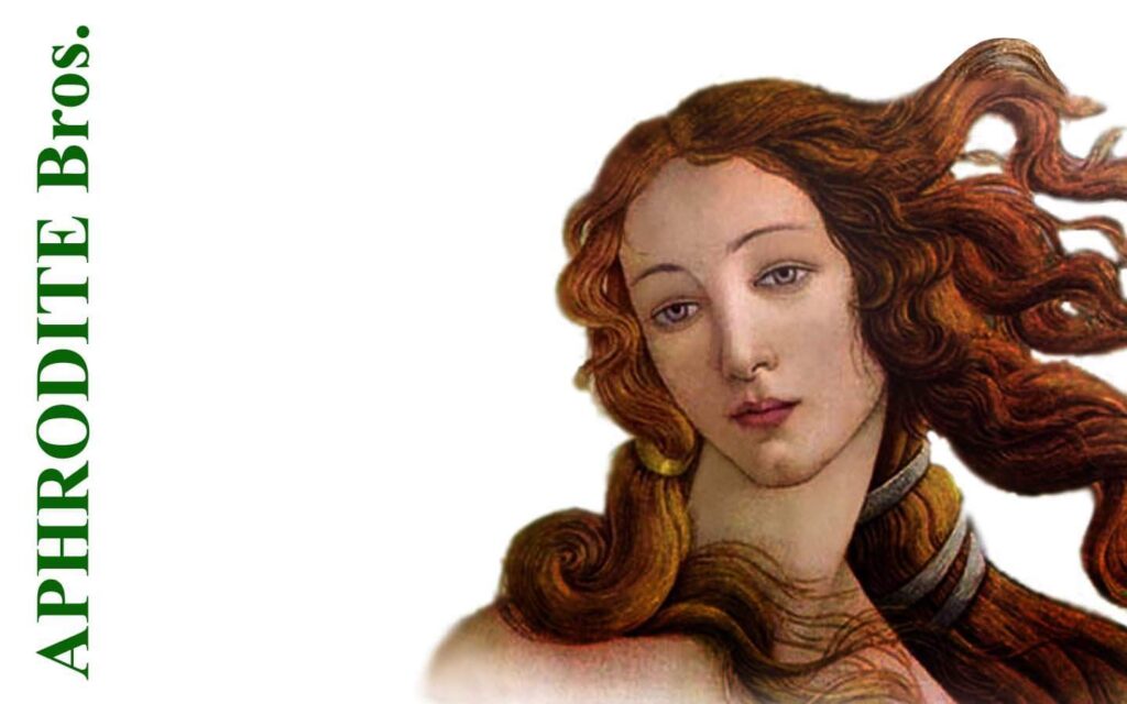 Aphrodite Brothers Estates & Construction