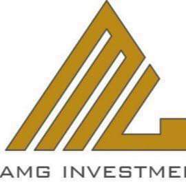 AMG Investment
